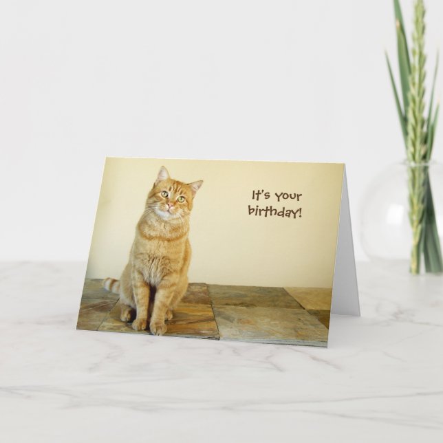 Tarjeta de cumpleaños anaranjada del Tabby (Anverso)