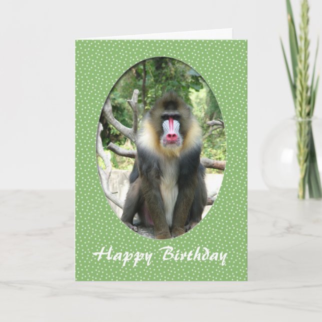 tarjeta de cumpleaños animal de zoológico (Anverso)