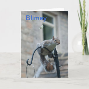 Tarjeta de cumpleaños: ardilla y mariposa