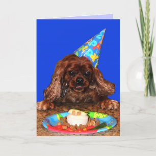 Tarjeta de cumpleaños arrogante de rubíes