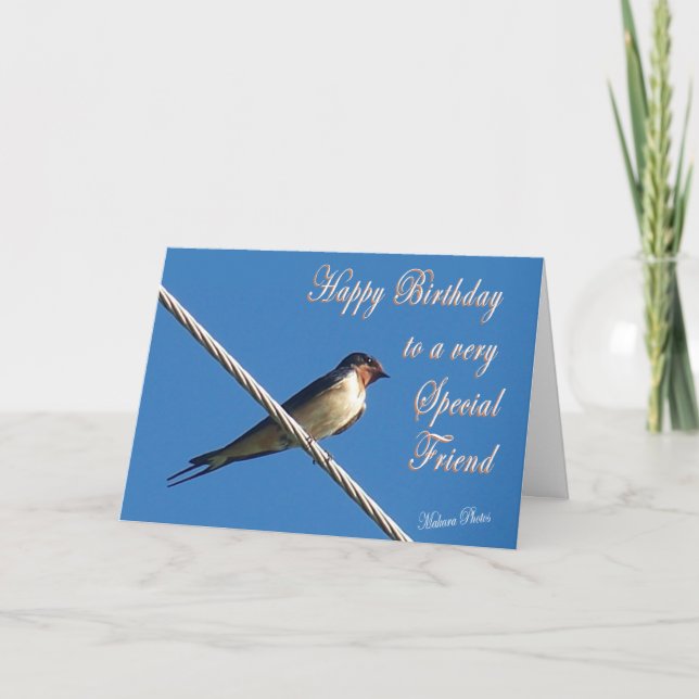 Tarjeta de cumpleaños Barn Swallow (Anverso)