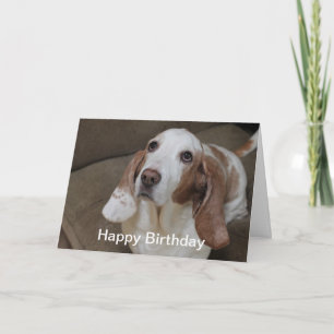 Tarjeta de cumpleaños Basset Hound