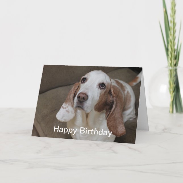 Tarjeta de cumpleaños Basset Hound (Anverso)