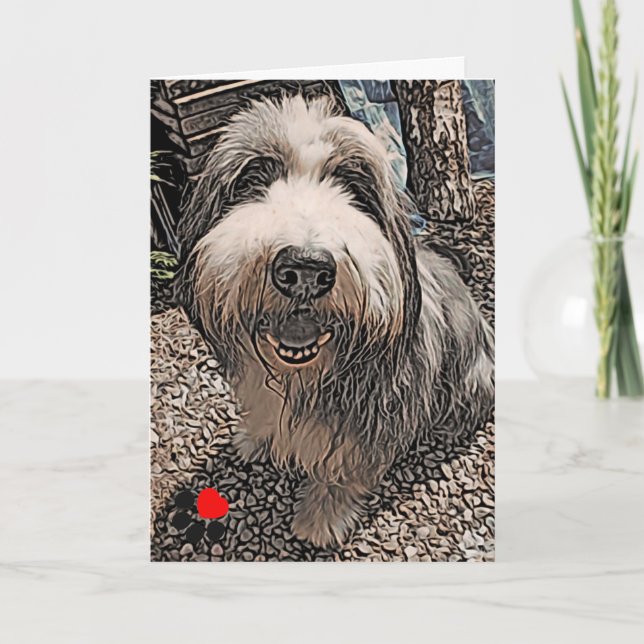 Tarjeta de cumpleaños Beardie Happy (Anverso)