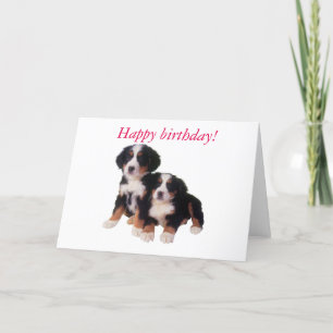 tarjeta de cumpleaños berner sennen pups