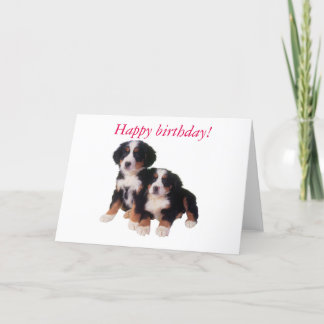tarjeta de cumpleaños berner sennen pups