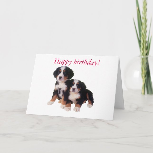 tarjeta de cumpleaños berner sennen pups (Anverso)