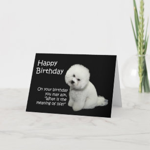 Tarjeta de cumpleaños Bichon