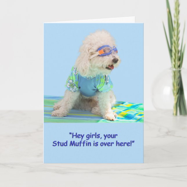 Tarjeta de cumpleaños Bichon Frise (Anverso)