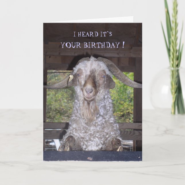 TARJETA DE CUMPLEAÑOS BILLY GOAT (Anverso)