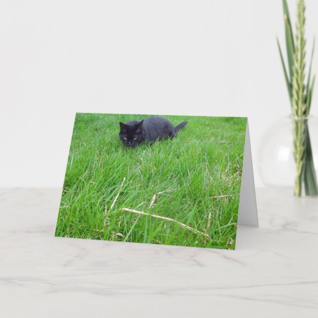 Tarjeta de cumpleaños Black Cat In Grass (Anverso)