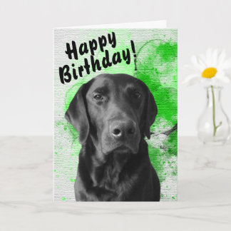 Tarjeta de cumpleaños Black Lab Personalizable Gre