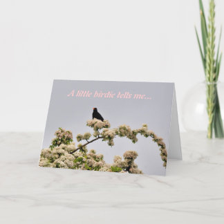 Tarjeta de cumpleaños: Blackbird