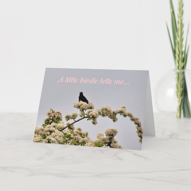 Tarjeta de cumpleaños: Blackbird (Anverso)