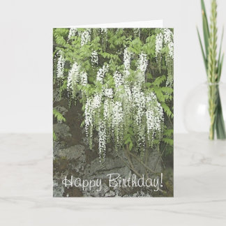 Tarjeta de cumpleaños blanca de las glicinias