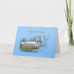 Tarjeta de cumpleaños blanca del pato de Pekin