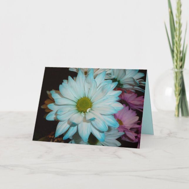 Tarjeta de cumpleaños Blue and White Daisy (Anverso)
