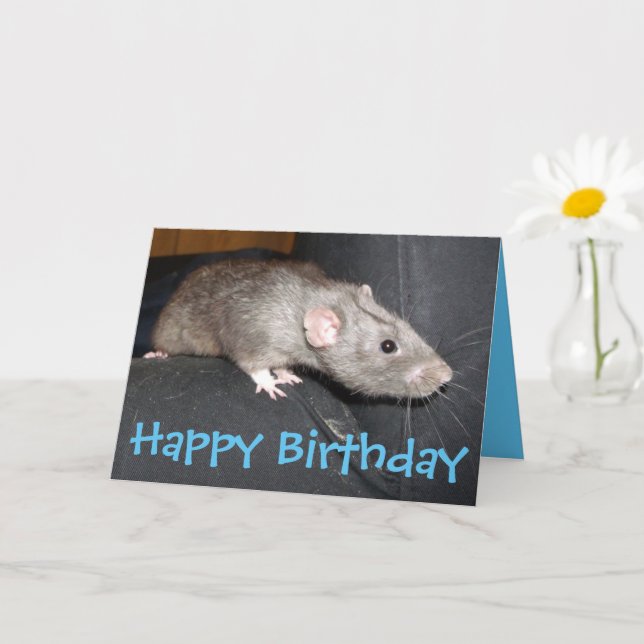 Tarjeta de cumpleaños Blue Dumbo Rat (Planta pequeña)