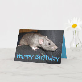Tarjeta de cumpleaños Blue Dumbo Rat