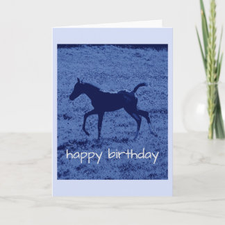 Tarjeta de cumpleaños Blue foal