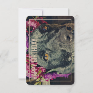 Tarjeta de cumpleaños Boho Heeler