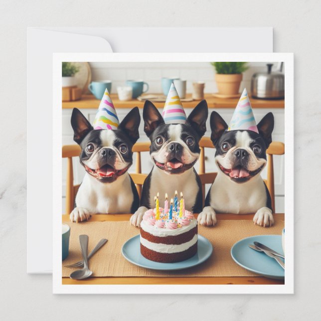 Tarjeta de cumpleaños Boston Terrier, Boston terri (Anverso)