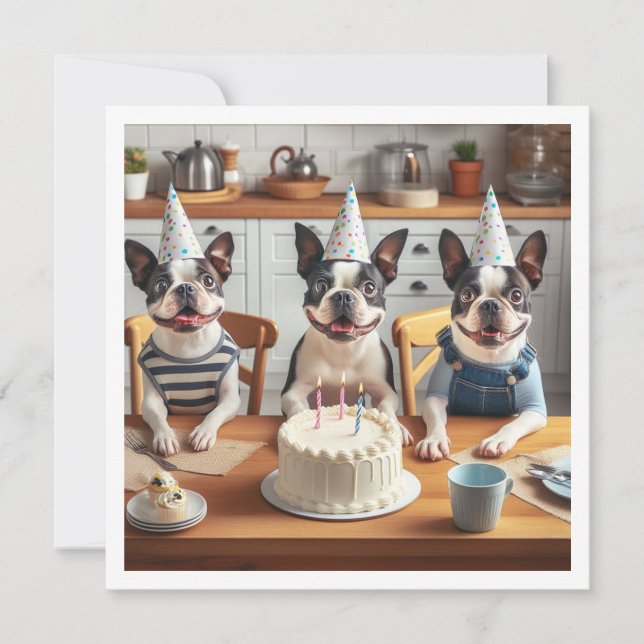 Tarjeta de cumpleaños Boston Terrier, Boston terri (Anverso)
