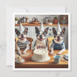 Tarjeta de cumpleaños Boston Terrier, Boston terri