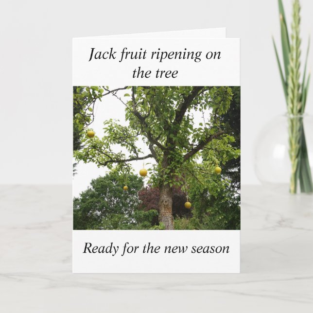 Tarjeta de cumpleaños Bowls (Anverso)