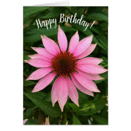 Tarjeta de cumpleaños Bright Purple Coneflower