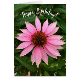 Tarjeta de cumpleaños Bright Purple Coneflower