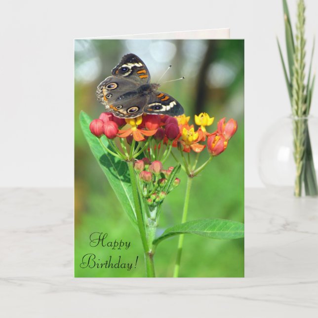 Tarjeta de cumpleaños Buckeye Butterfly SIL (Anverso)