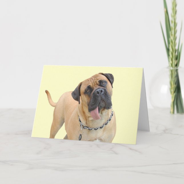 Tarjeta de cumpleaños Bullmastiff por foco por una (Anverso)