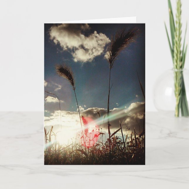 Tarjeta de cumpleaños "Campo de trigo" (Anverso)