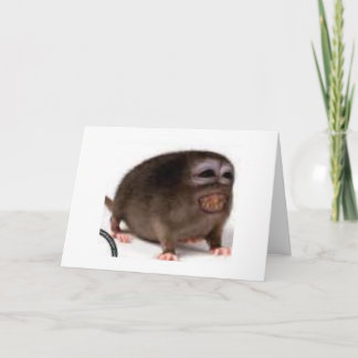 tarjeta de cumpleaños cariñosa