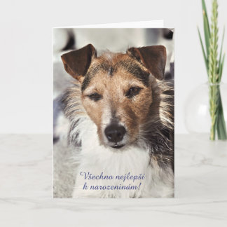 Tarjeta de cumpleaños checa para perros