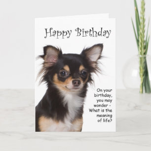 Tarjeta de cumpleaños Chihuahua