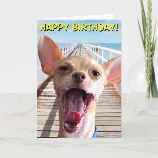 Tarjeta de cumpleaños Chihuahua (Anverso)