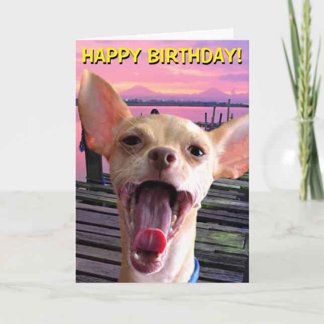 Tarjeta de cumpleaños Chihuahua (Anverso)