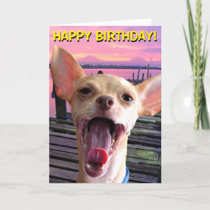 Tarjeta de cumpleaños Chihuahua