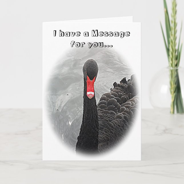 Tarjeta de cumpleaños - cisne negro (Anverso)