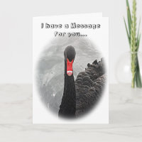 Tarjeta de cumpleaños - cisne negro