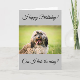 Tarjeta de cumpleaños Cockapoo