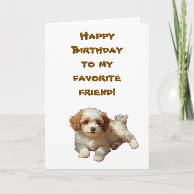 Tarjeta de cumpleaños Cockapoo - Saludo de perro P (Anverso)