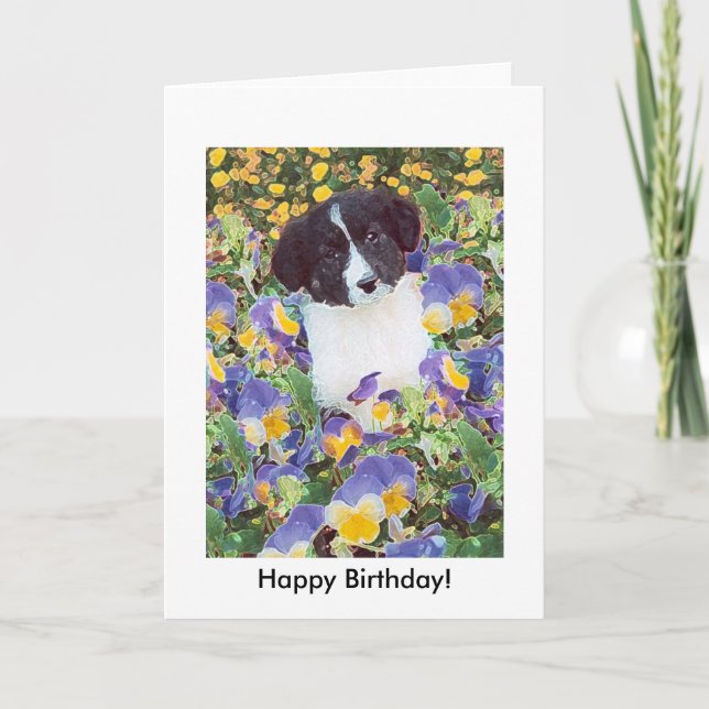 tarjeta de cumpleaños - Collie de borde y flores (Anverso)