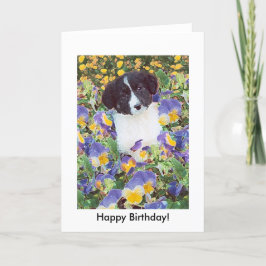 tarjeta de cumpleaños - Collie de borde y flores