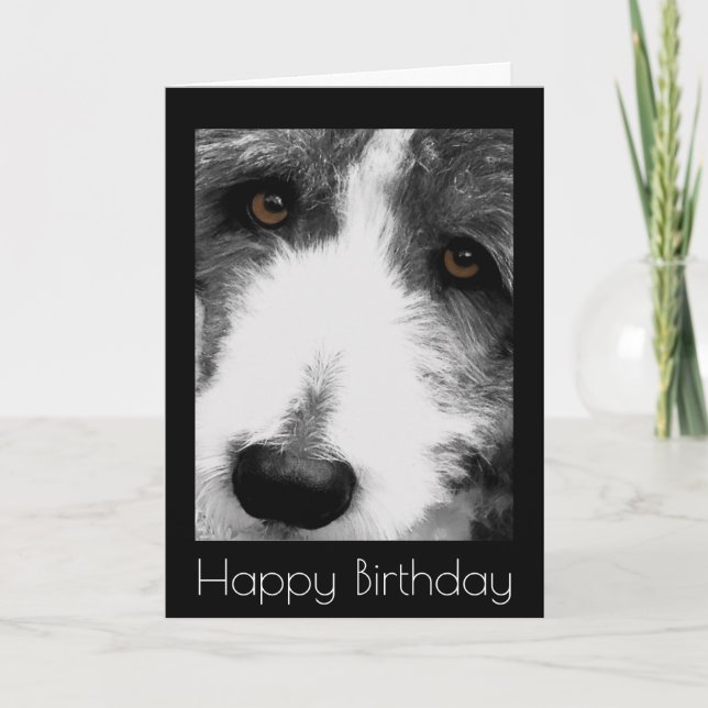 Tarjeta de cumpleaños Collie Eyes (Anverso)