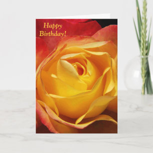 Tarjeta de cumpleaños color de rosa anaranjada