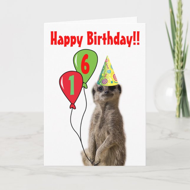 Tarjeta de cumpleaños como fiesta de Meerkat (Anverso)