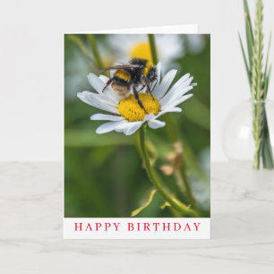 Tarjeta de cumpleaños con abeja en una margarita b